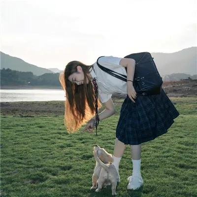 野草海报